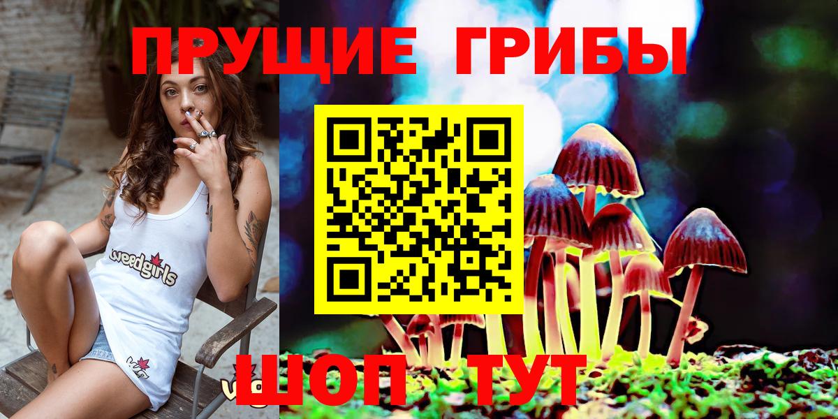 Псилоцибиновые грибы GOLDEN TEACHER Новокуйбышевск