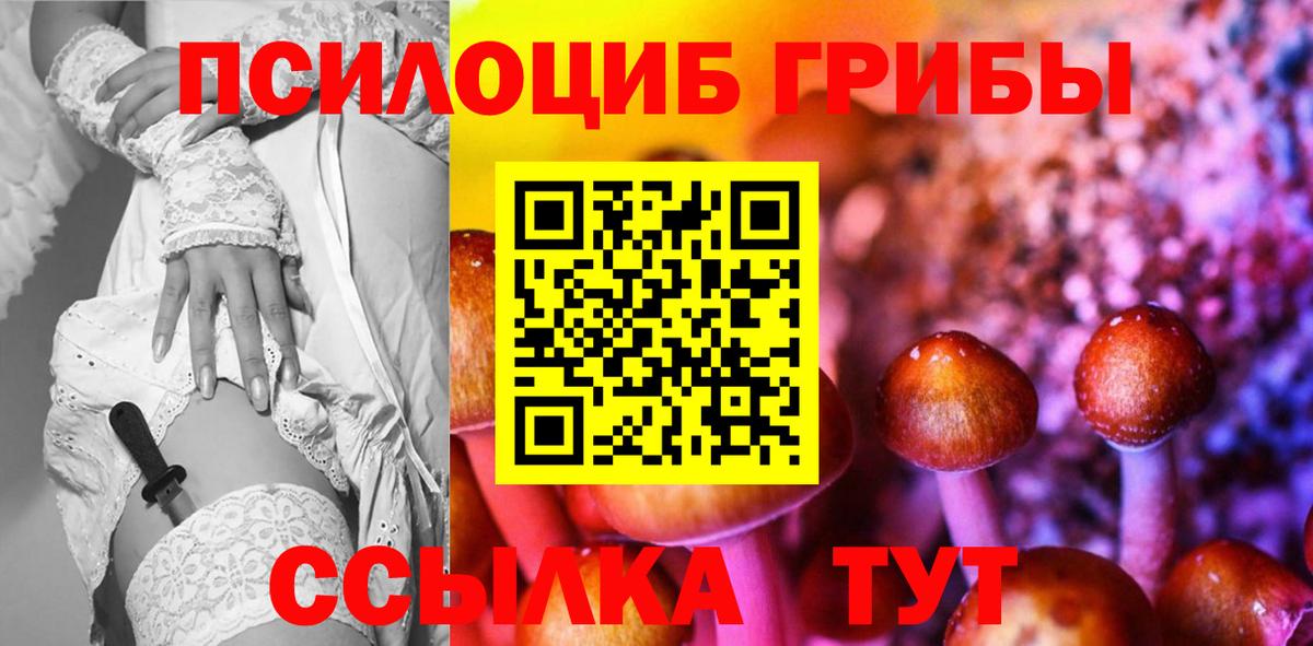 Новокуйбышевск  Псилоцибиновые грибы ЛСД  Вход с VPN 